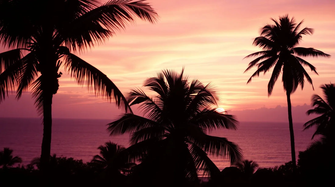 Hi-res desktop wallpaper sunset download