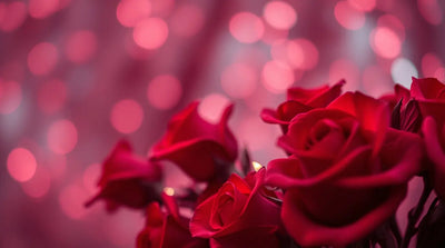 Surreal Valentines Day Wallpaper Download Red Roses
