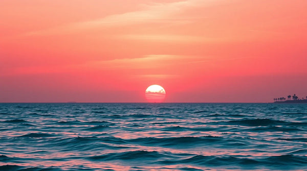 Download Beach iPhone Background